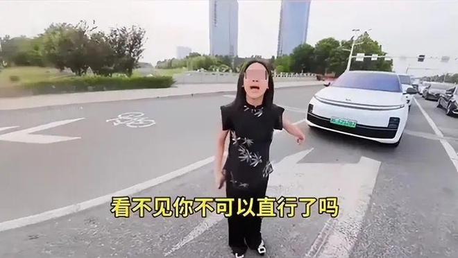 司机气到流产公布完整行车记录仪河北女司机与骑手冲突后续：女(图3)